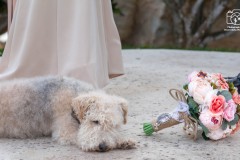Elopement Photography | Copyright: Desert Aloha Photography & Photograph Aloha | (928) 299-0175