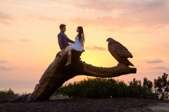 Desert Aloha Photography - Engagement - 6